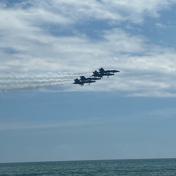 Meet your Posher, Sofia - Picture 1 of 1